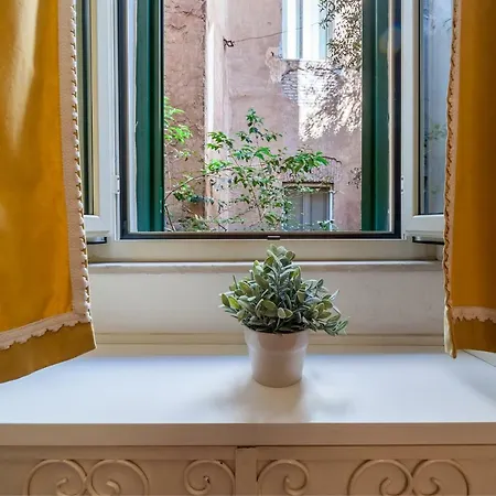 Domus Viola